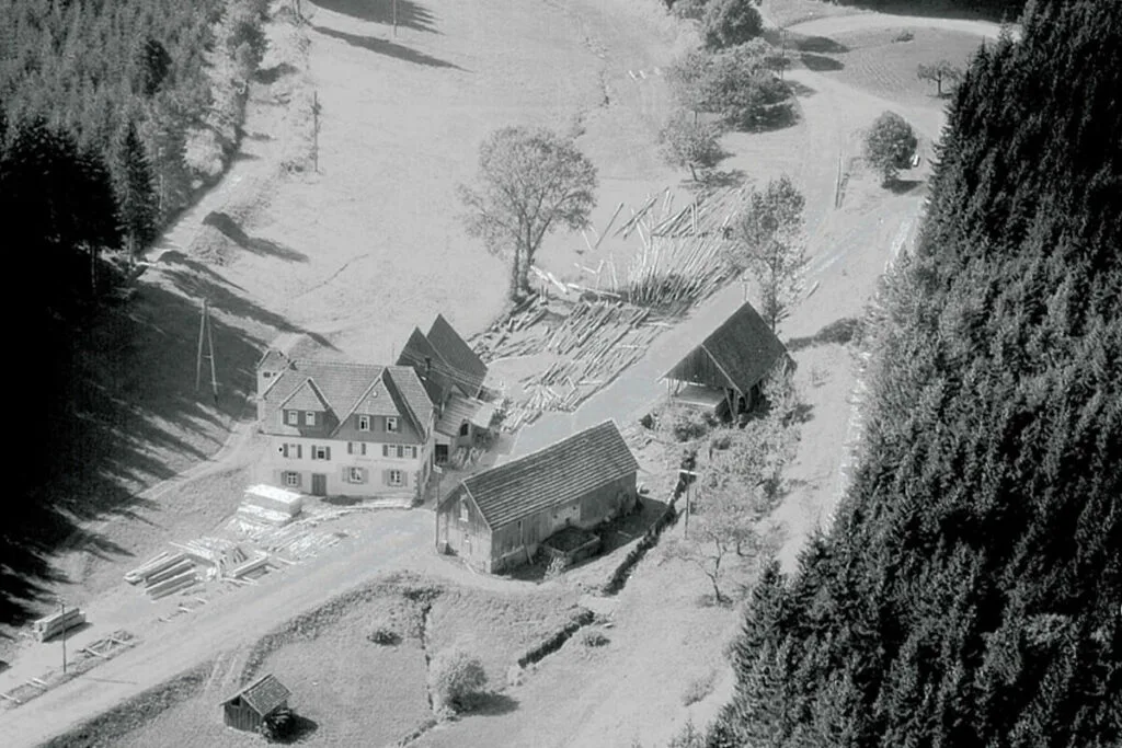 Waldsägmühle — photo 55