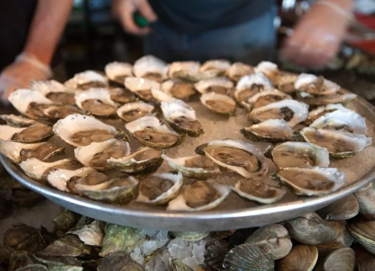 Matunuck Oyster Bar — photo 27