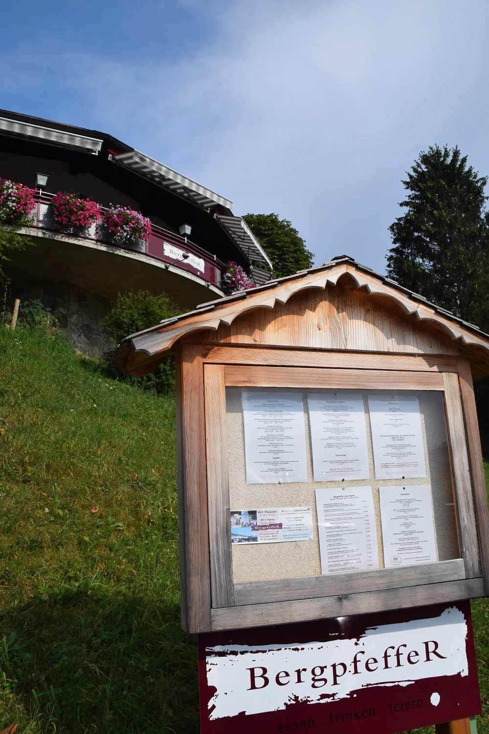 Bergpfeffer — photo 9