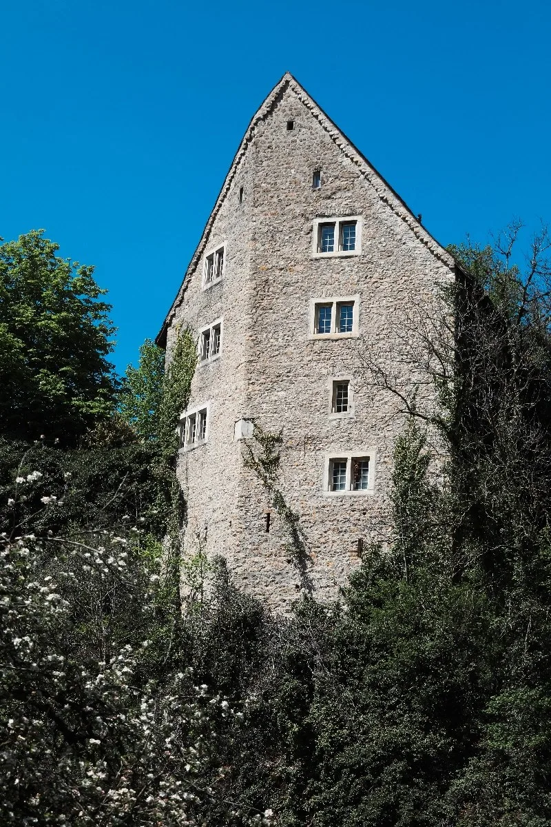 Château de Pleujouse — photo 25