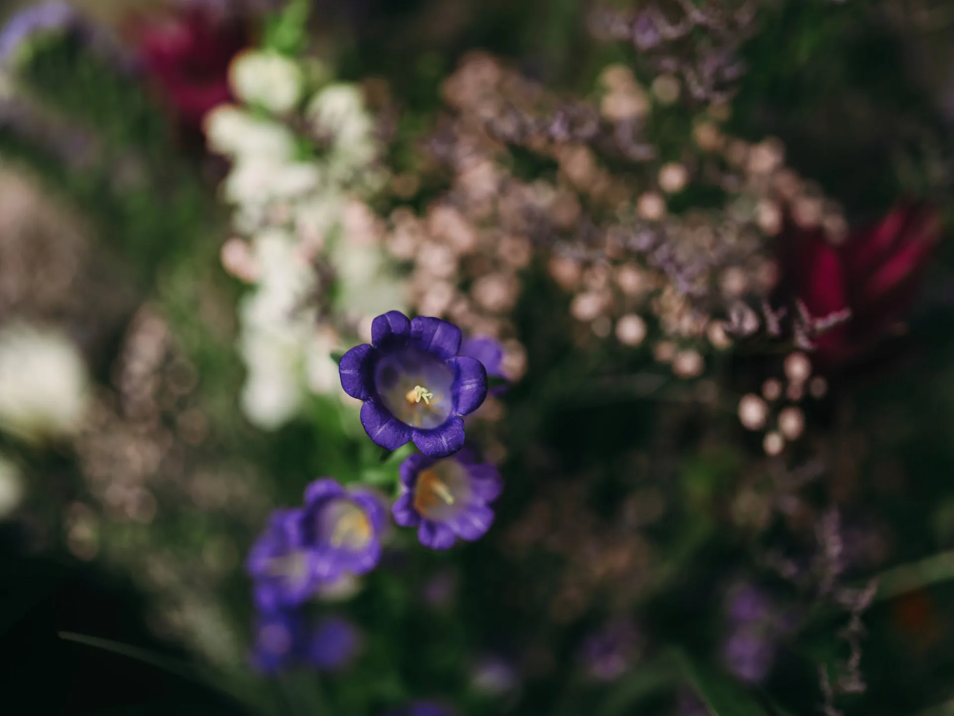 Cécile — food