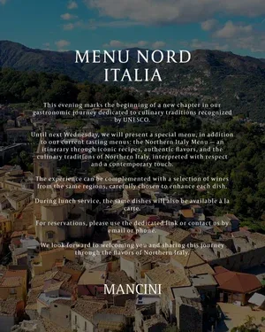 Mancini — photo 6