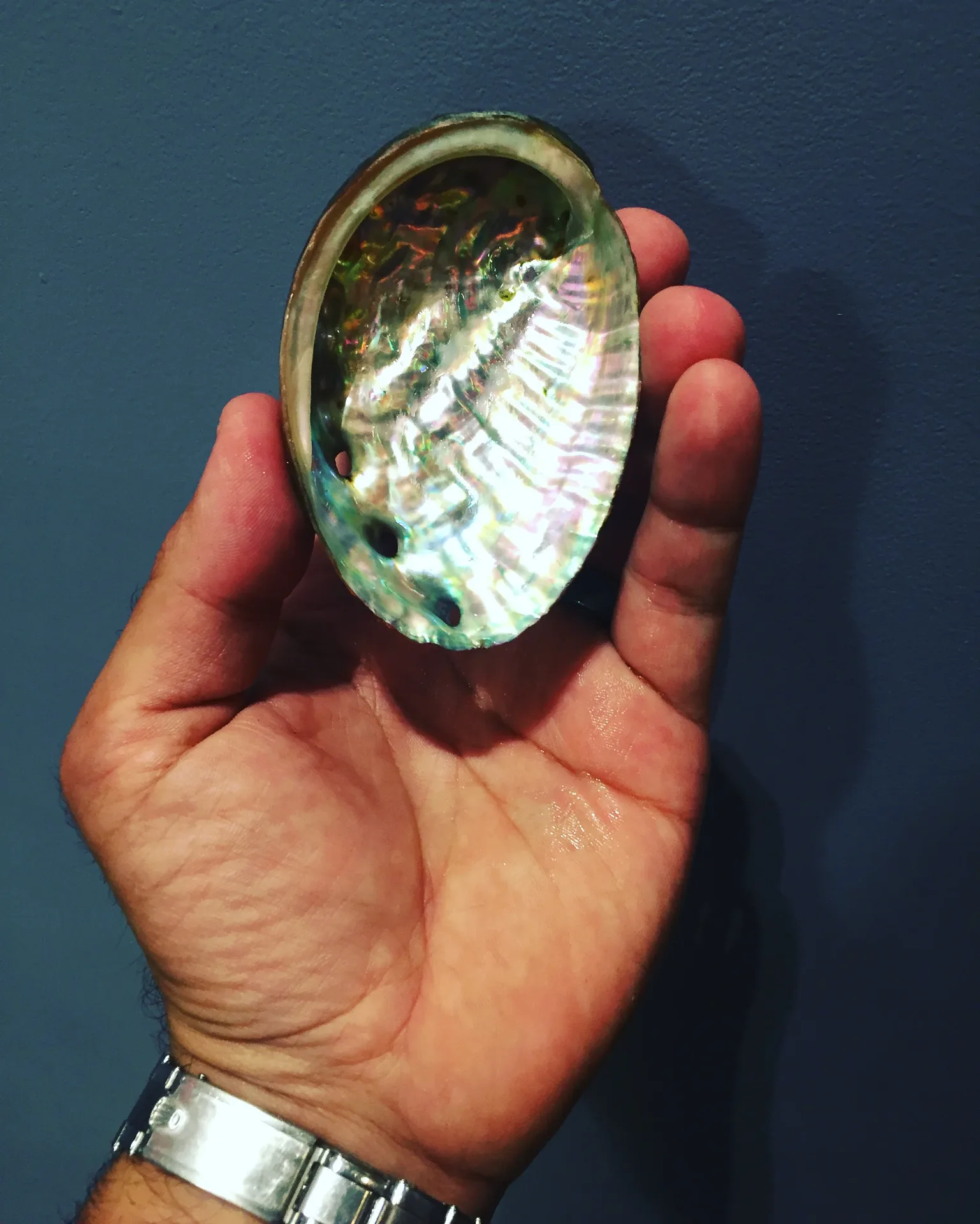Select Oyster Bar — food