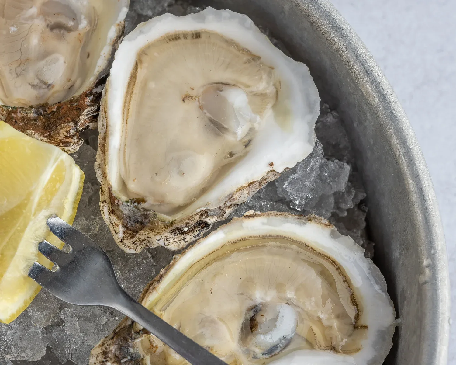Bluecoast Seafood Grill + Raw Bar — photo 26