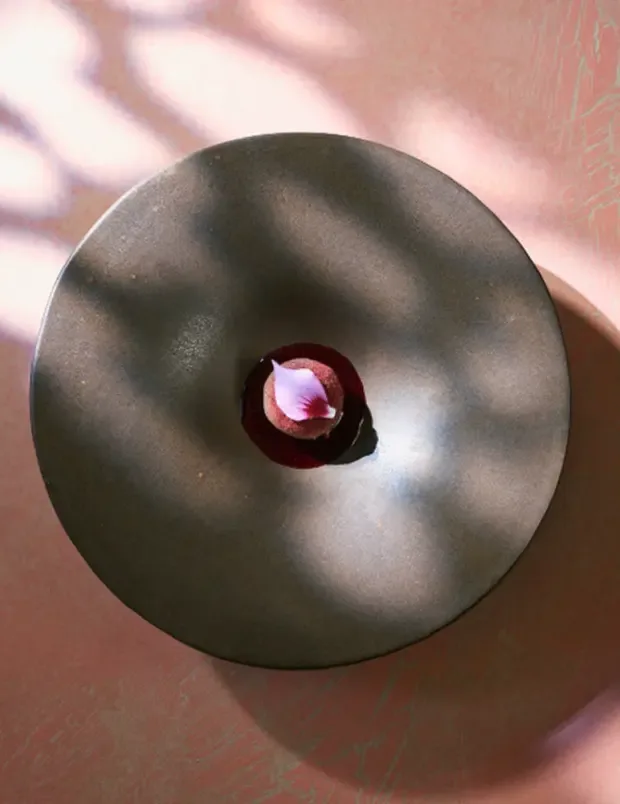 Hiša Franko — photo 11