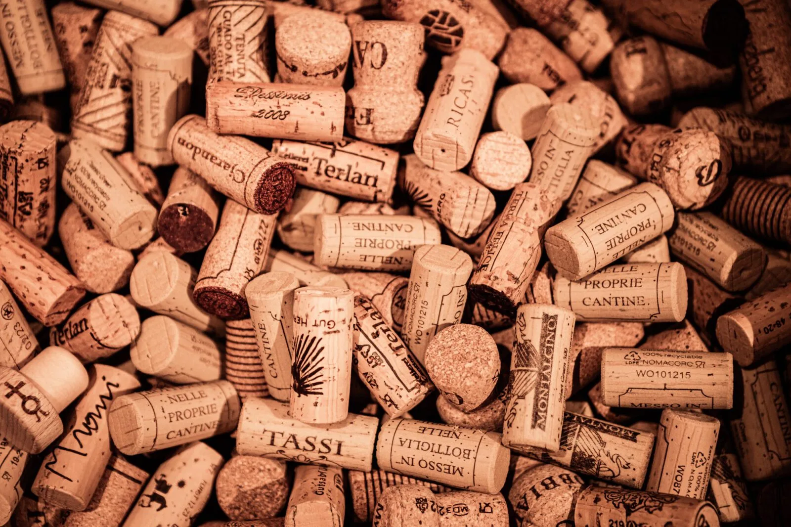Poletto Winebar — photo 43