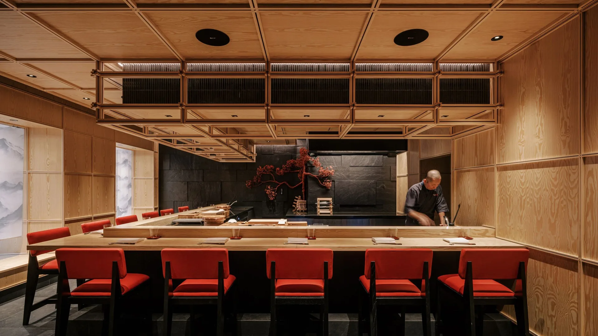 Koyo — photo 5