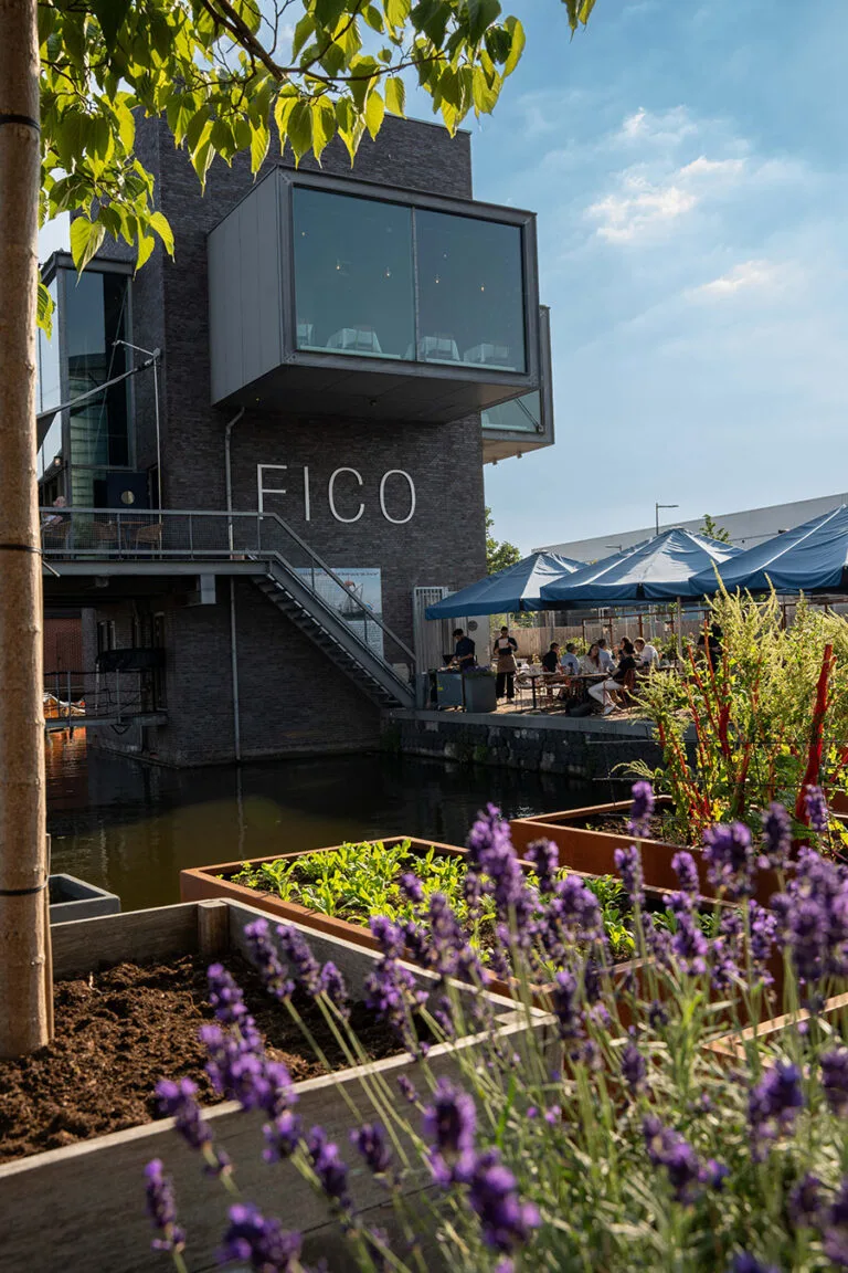 Fico — photo 17