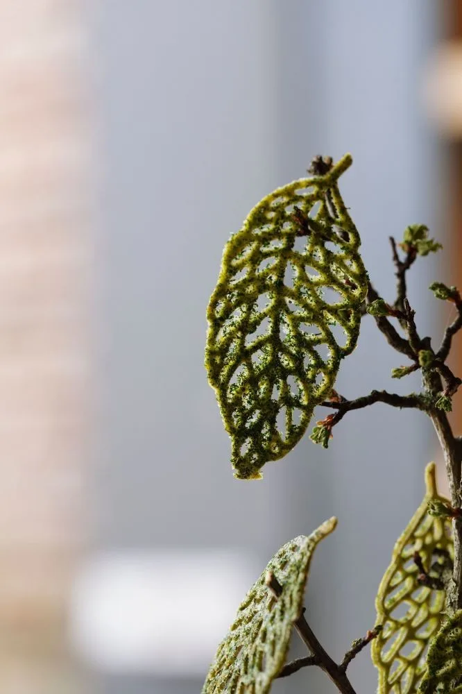 Pollen — photo 21