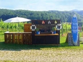 Vineyard — photo 22