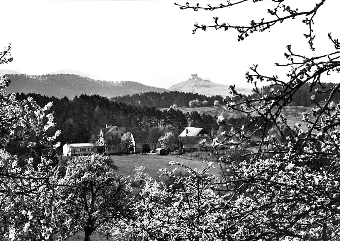 Die Kelter — photo 34
