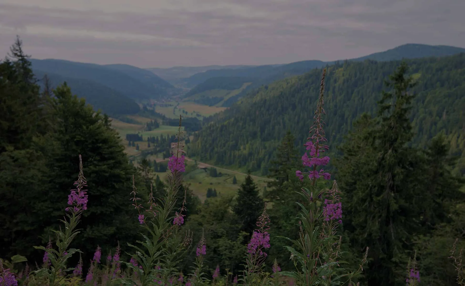 Geroldsauer Mühle — photo 58