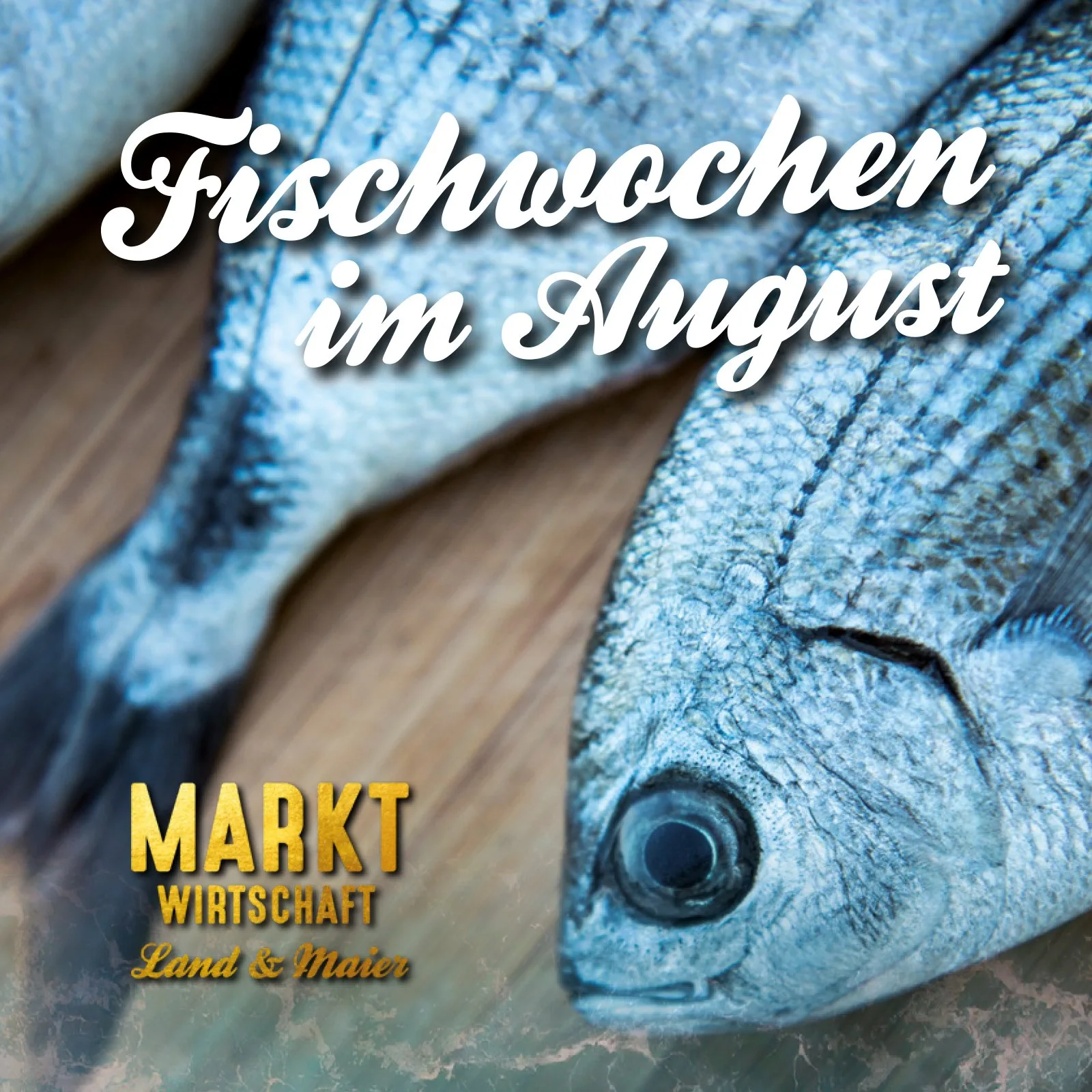 Marktwirtschaft Besigheim — photo 17