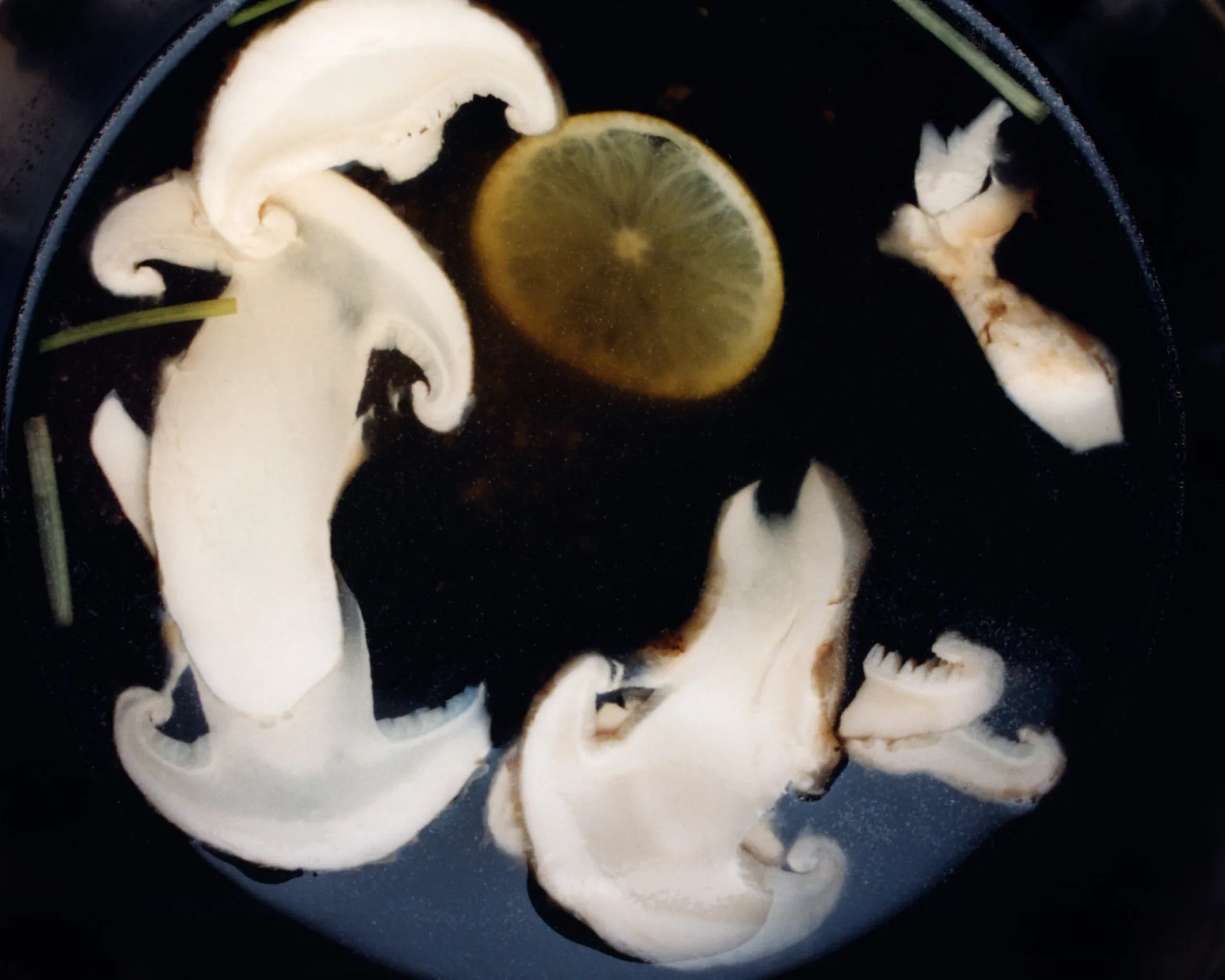 Morihiro — photo 17