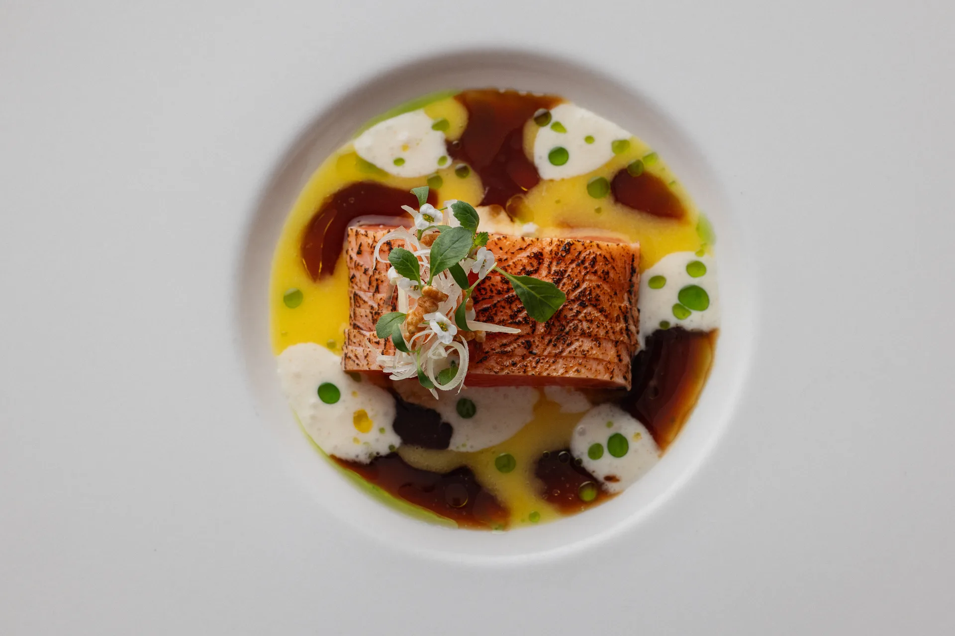 Panorama - Bistro — photo 9