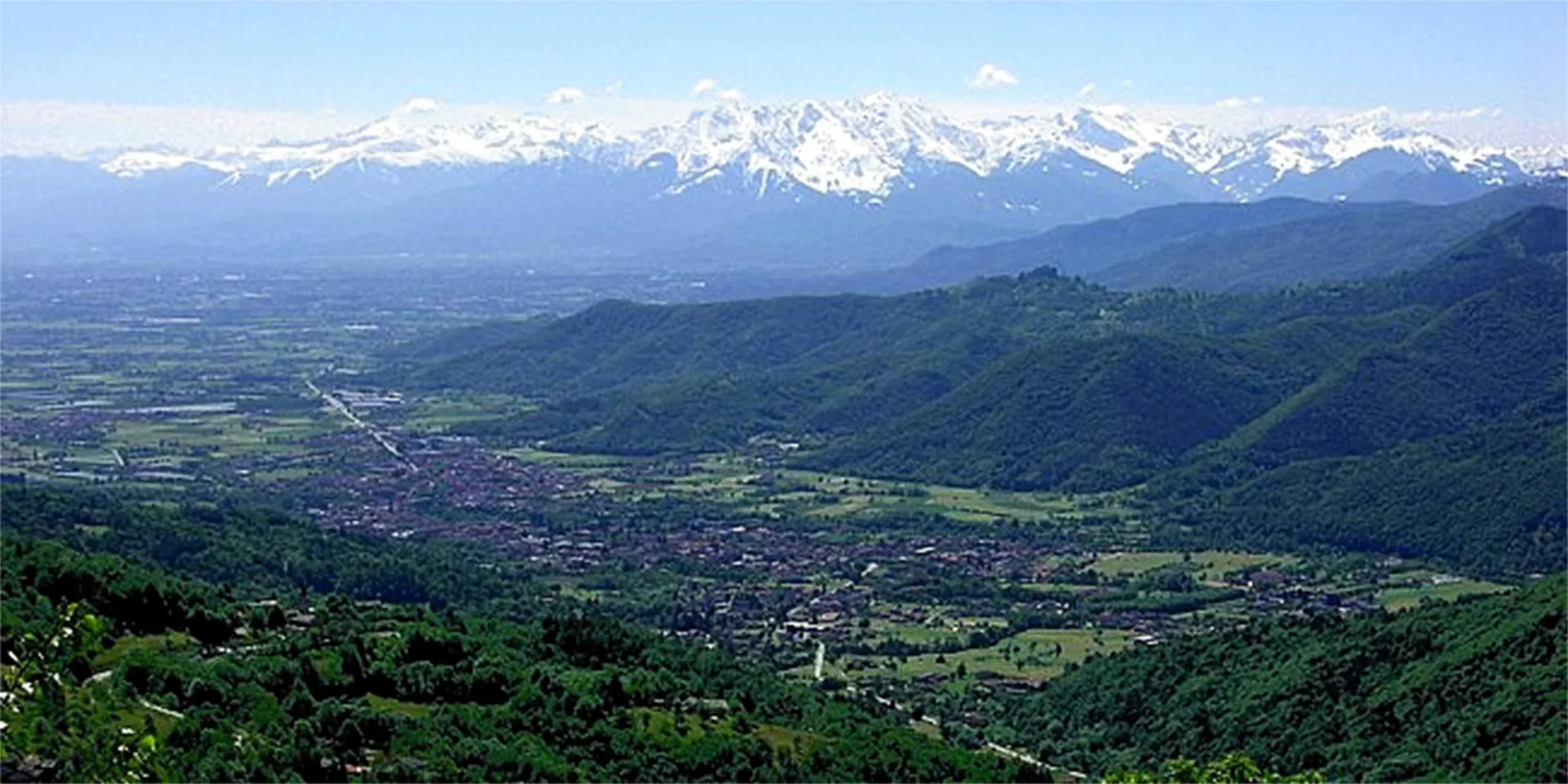 La Pineta — photo 12