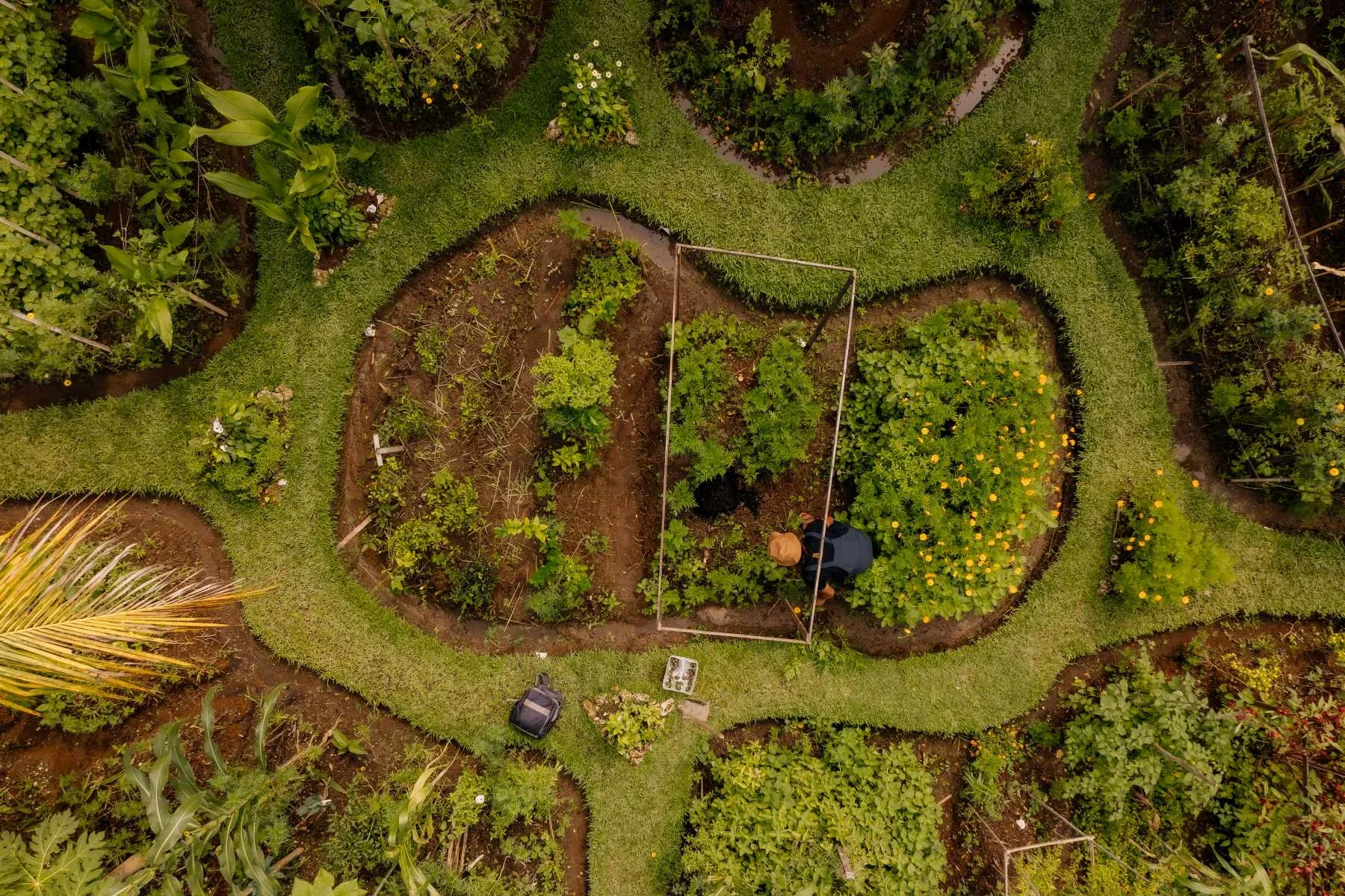 Syrco Basè — photo 87