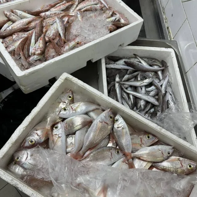 Taverna Riva — photo 100