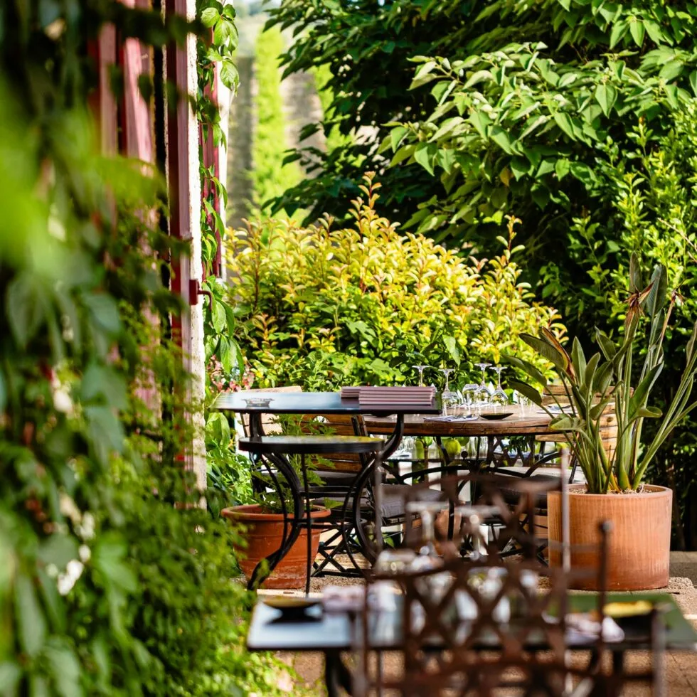 La Colombe — photo 4