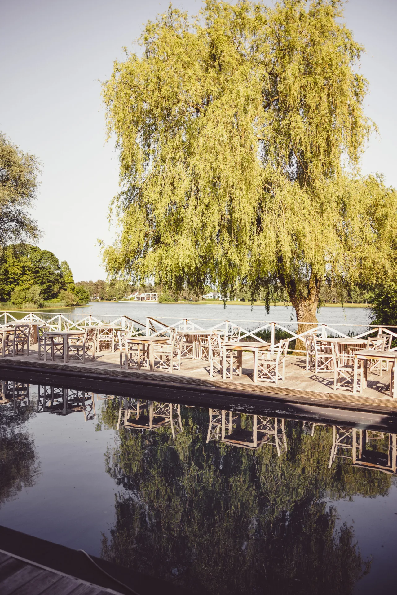 The Lake — photo 14