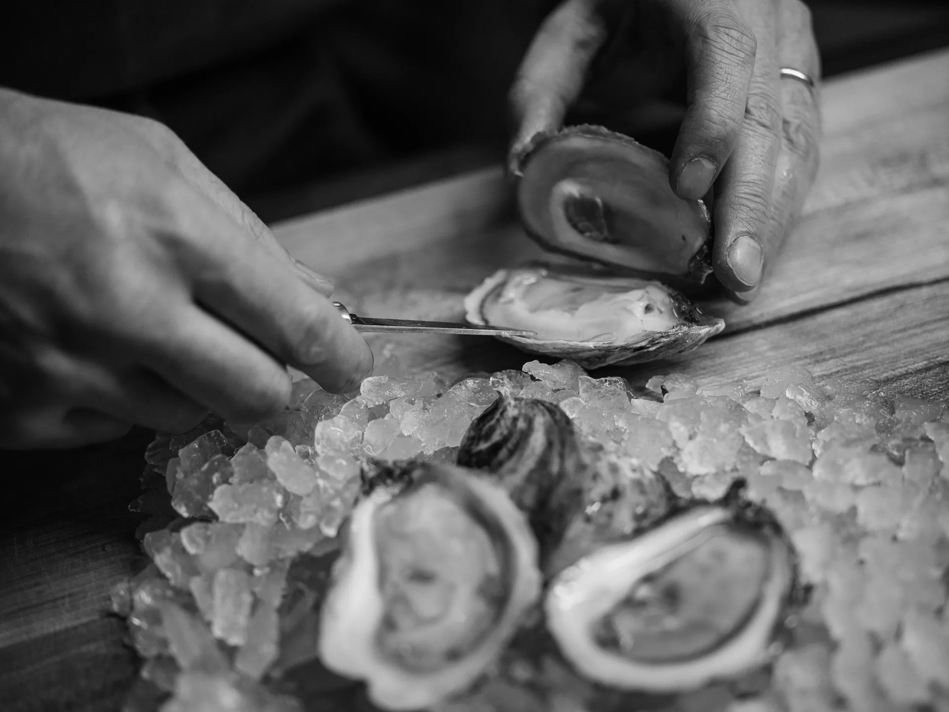 1888 Chop House — food