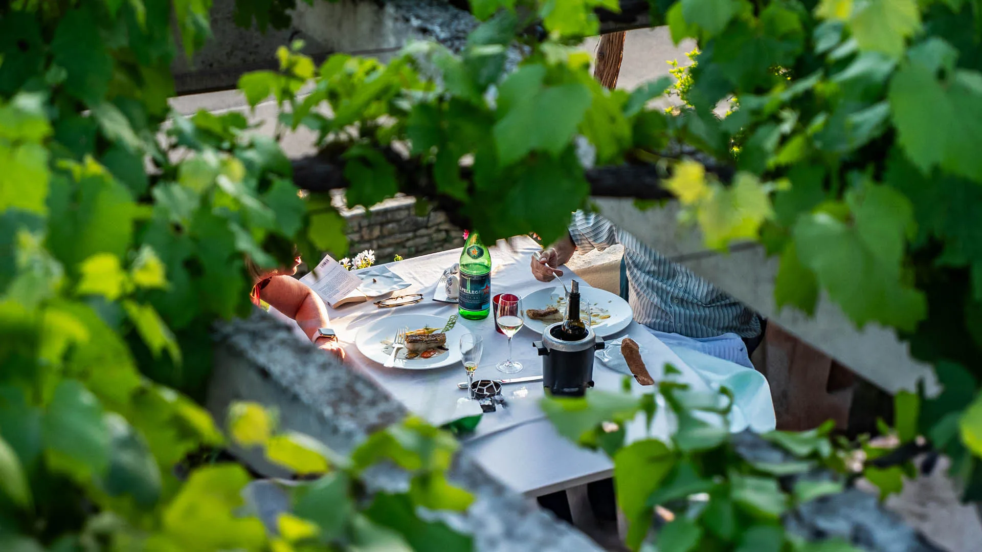 La Terrasse — photo 14