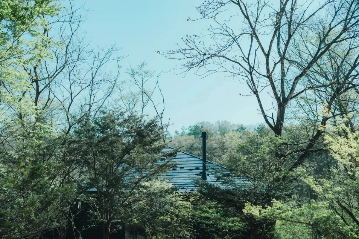 nôtori — photo 4