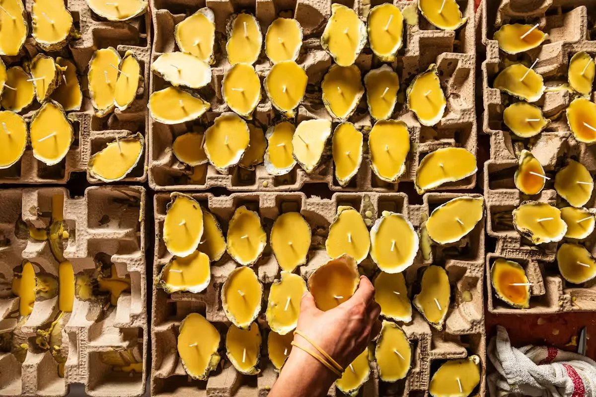 Oyster Oyster — photo 8