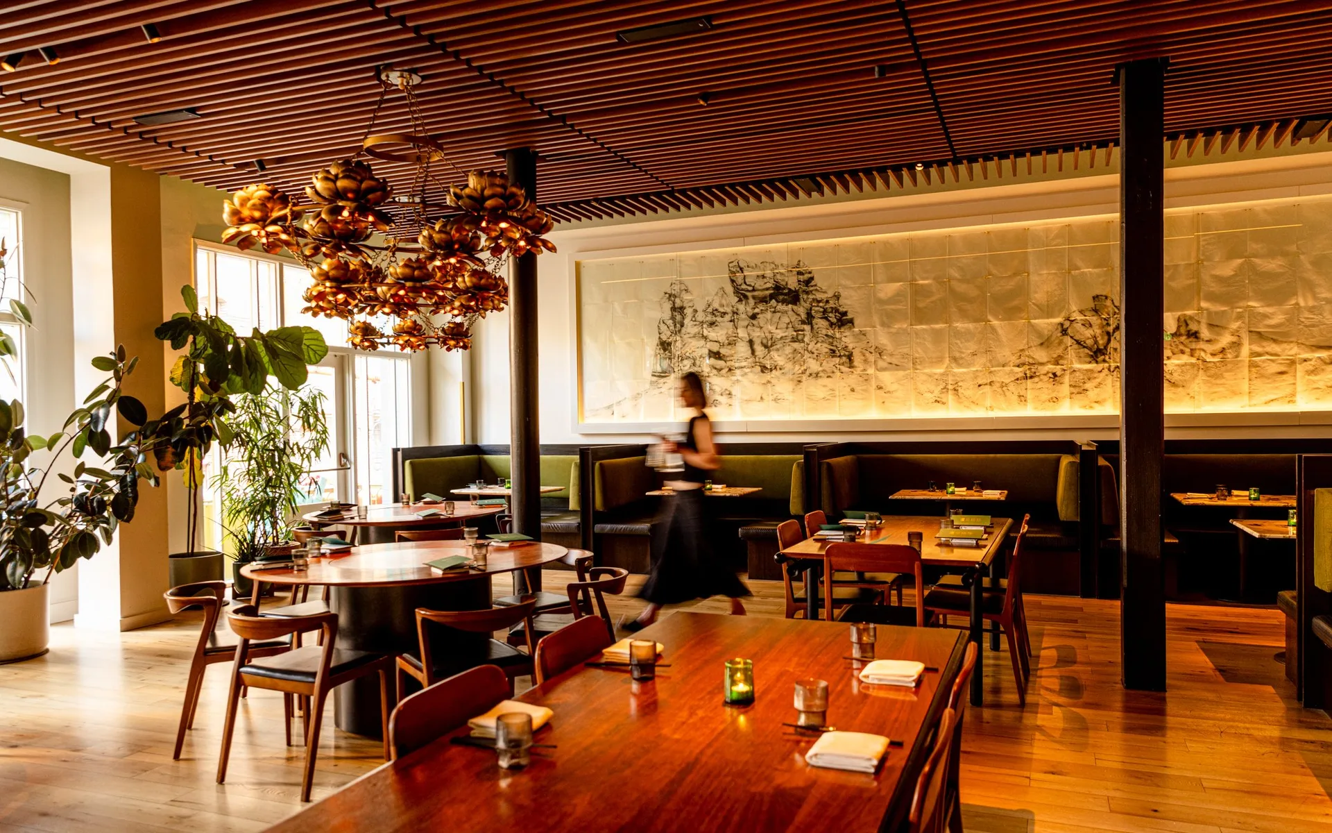 Mister Jiu's — photo 15