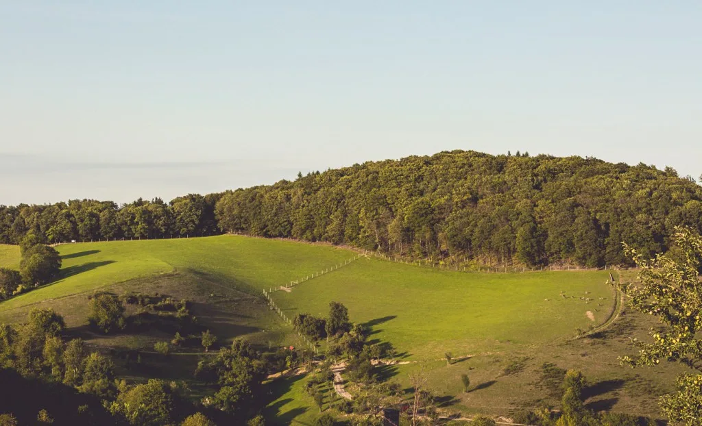 Lammershof Stuben — atmosphere