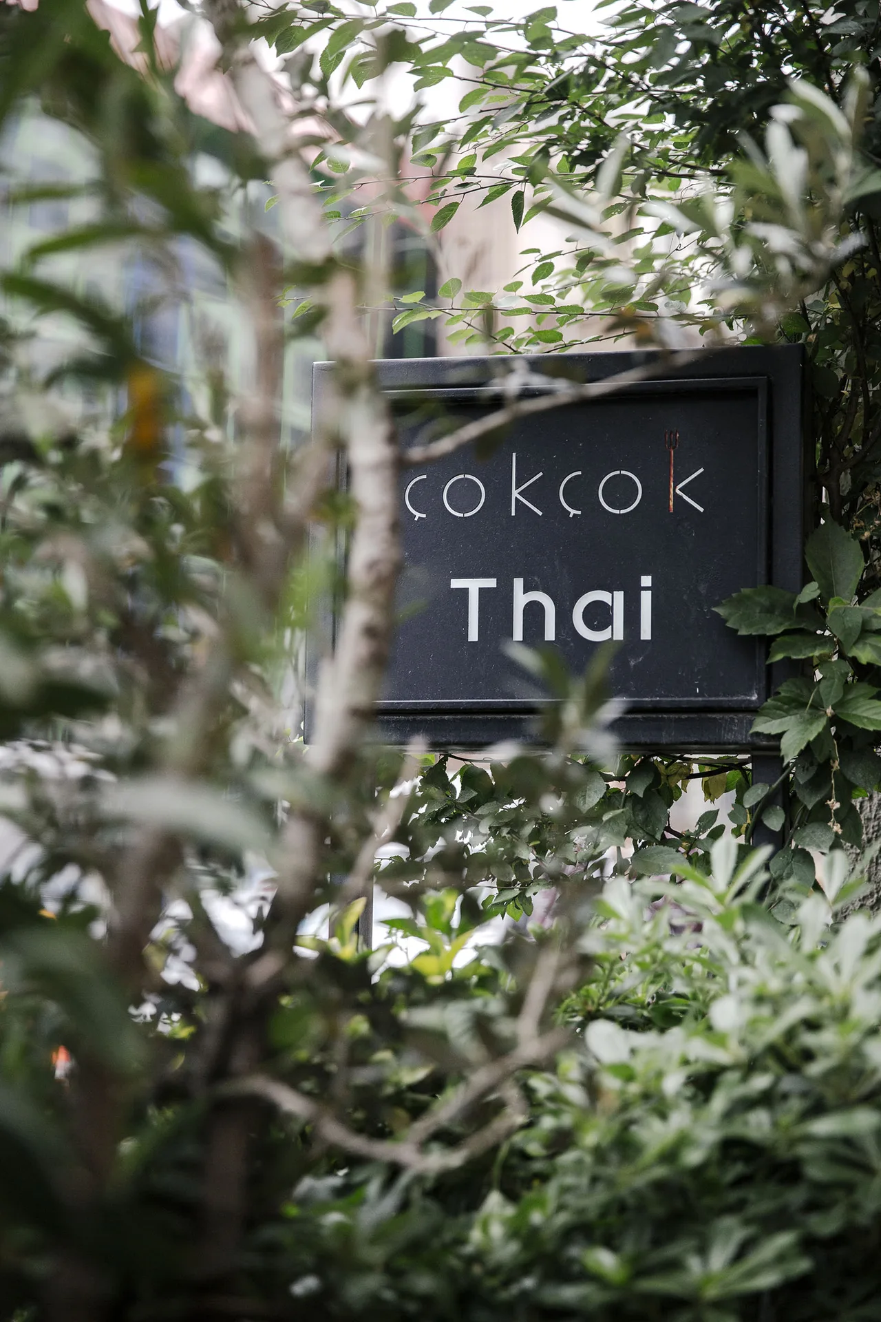 Çok Çok Thai — photo 31