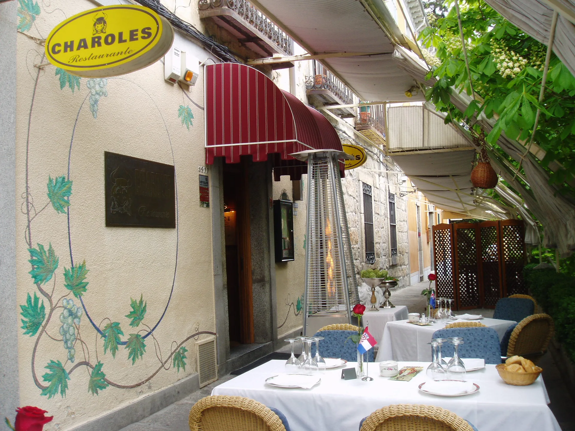 Charolés — photo 12