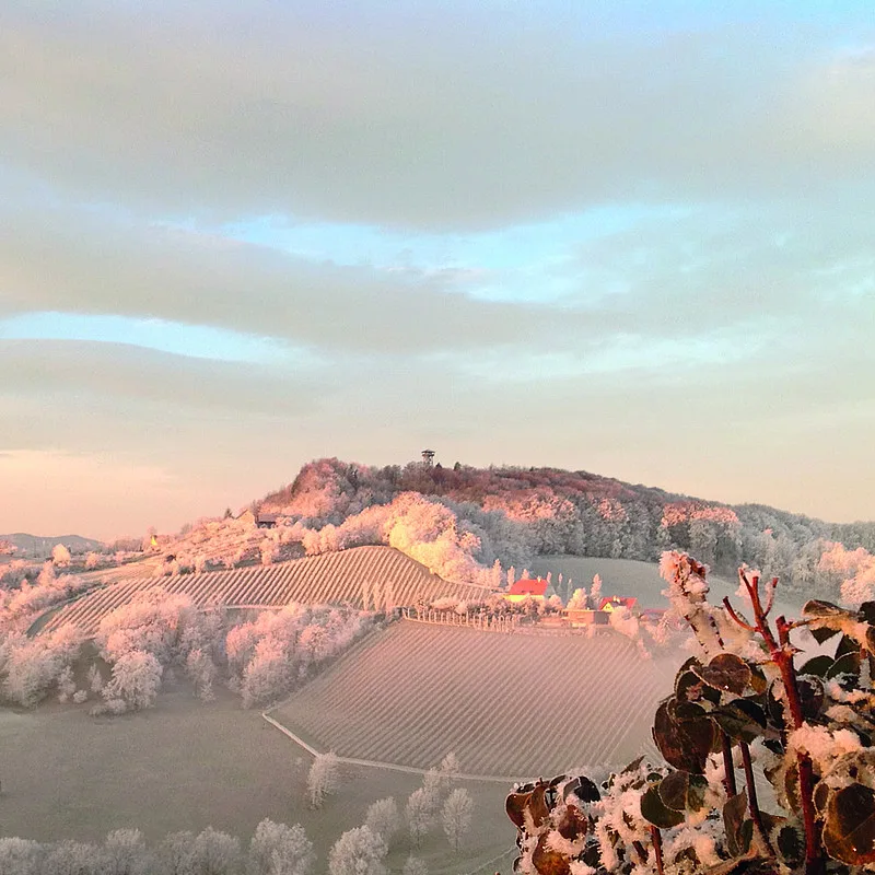 Kreuzwirt — photo 43