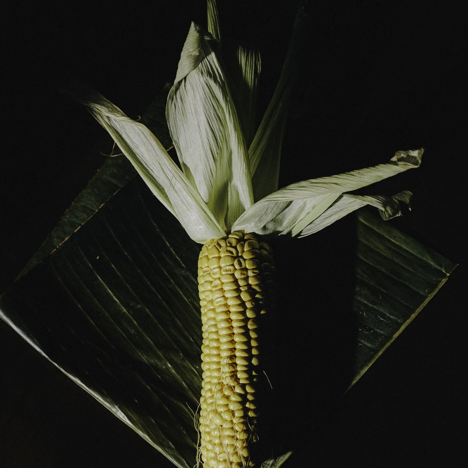 Caos — photo 32