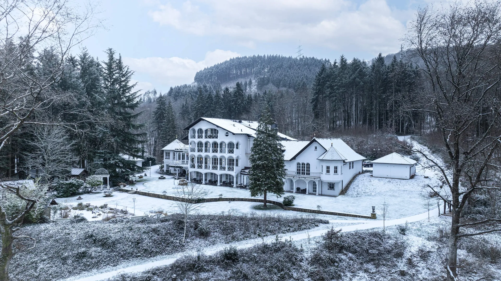 Waldhotel Sonnora — photo 71