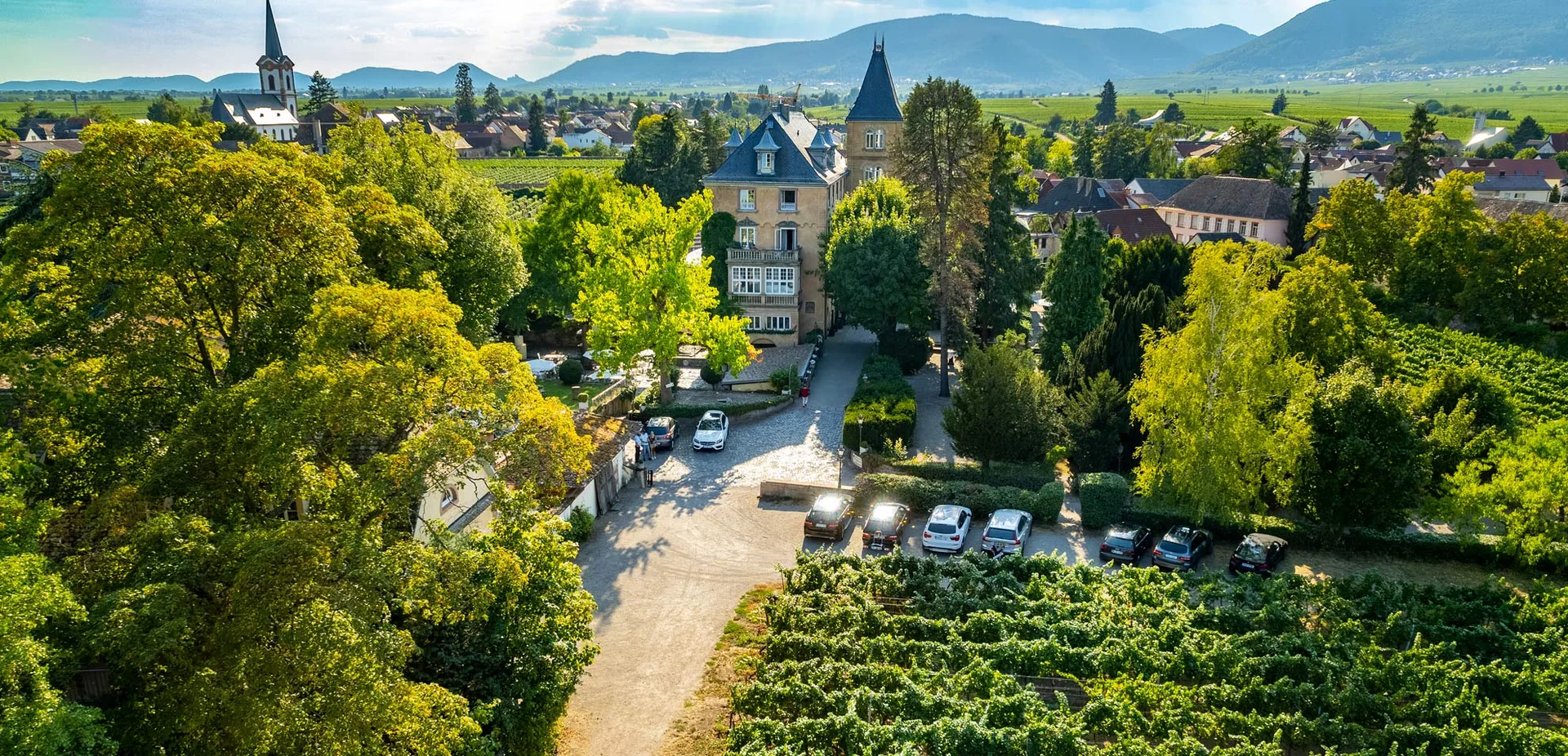 Schloss Edesheim - Gourmet-Restaurant — photo 89