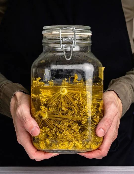 Latour — photo 22