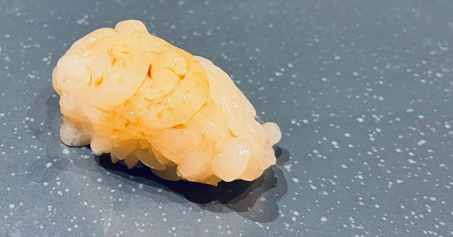 Sushi Shin — food