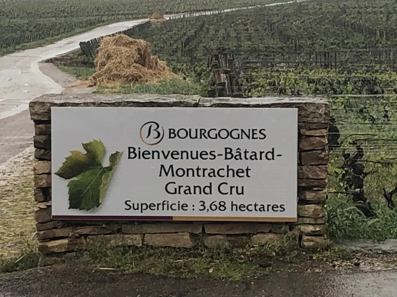 La Bécasse — photo 98