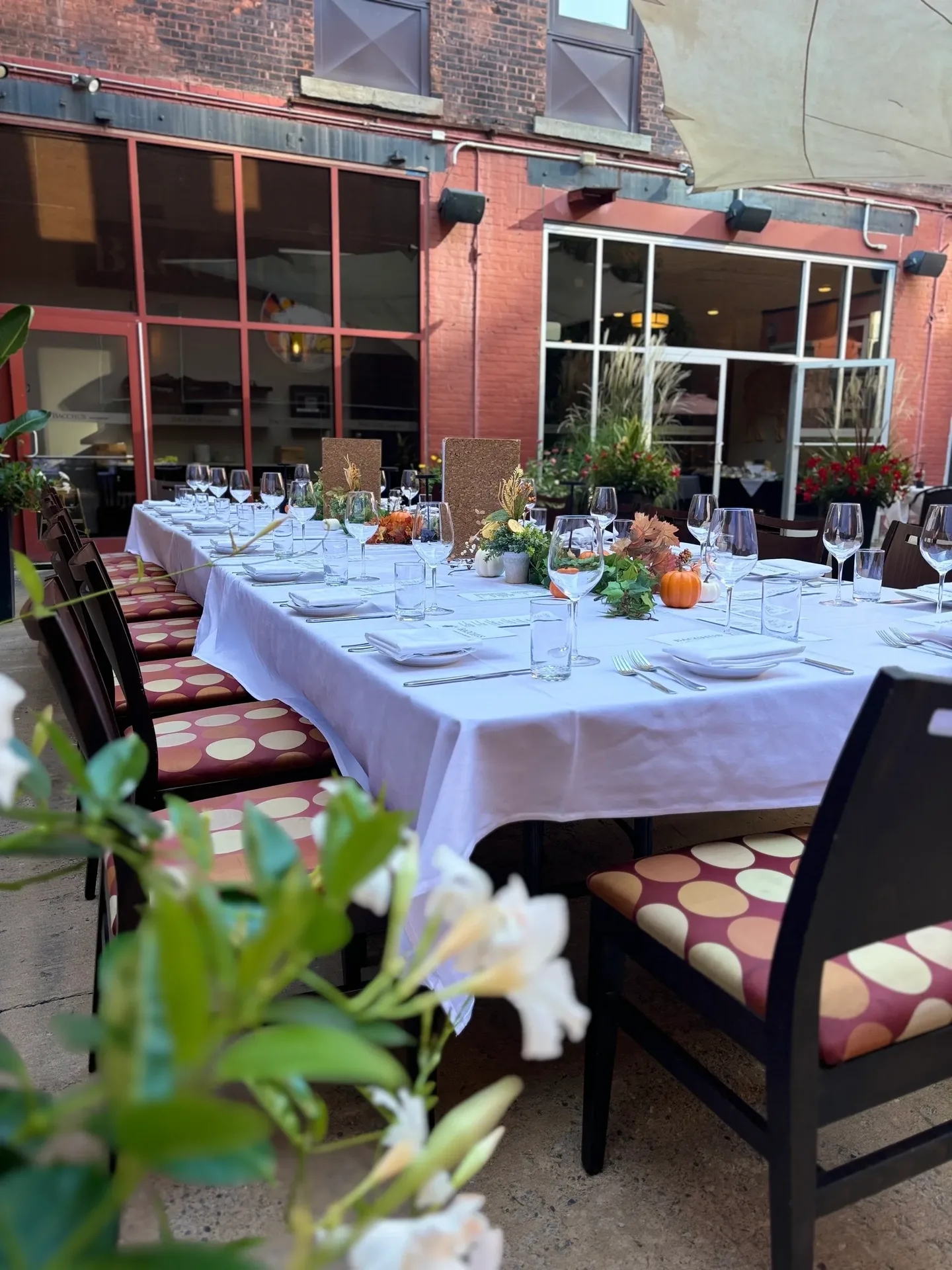 Bacchus Wine Bar & Restaurant — photo 11