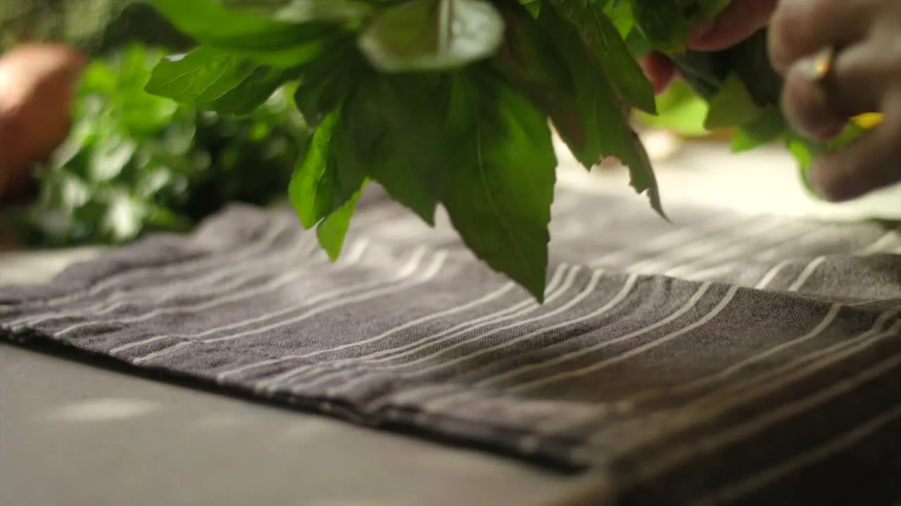 IL Sommelier — kitchen