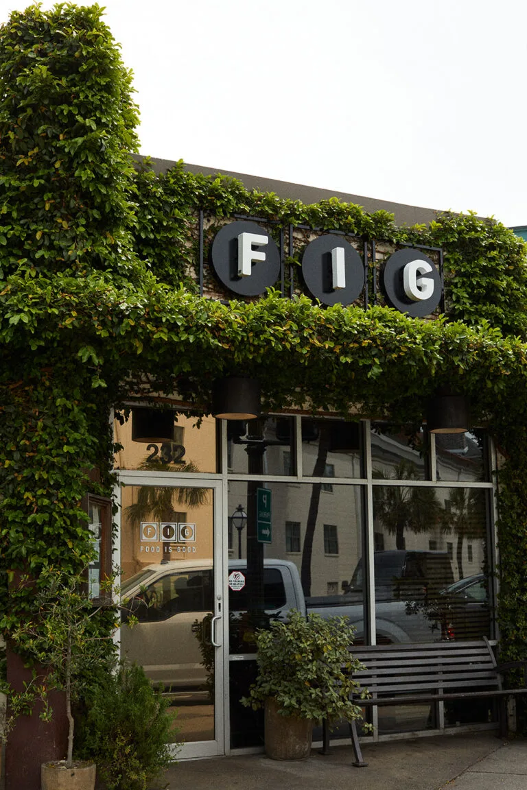 Fig — photo 39