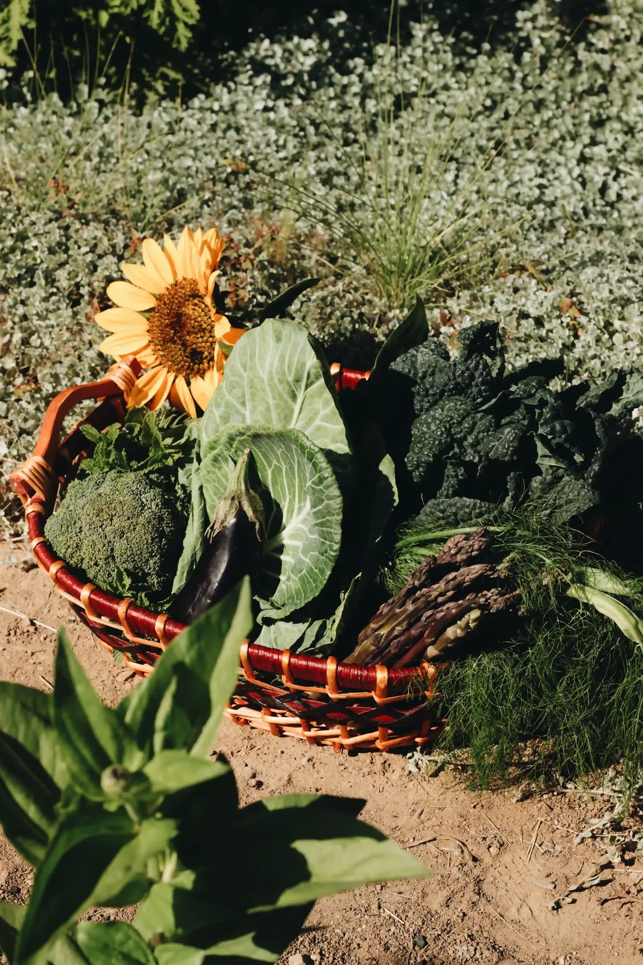 Cocina de Campo by Agricole — photo 8