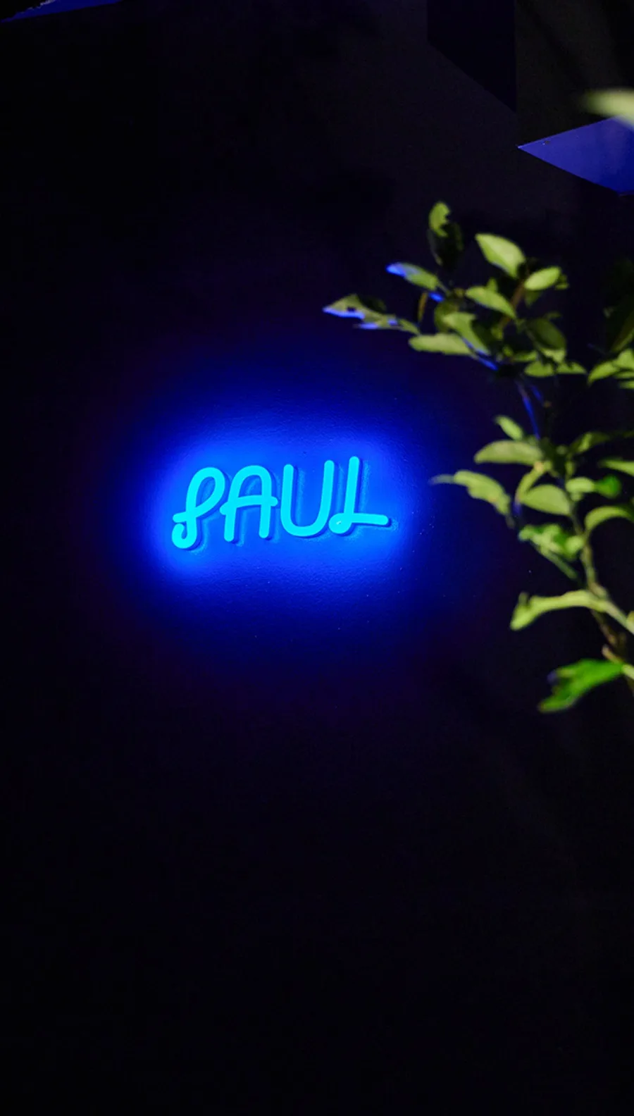 PAUL — atmosphere