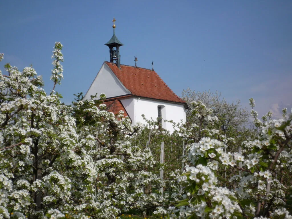 Hotel-Gasthof Zur Kapelle — photo 16
