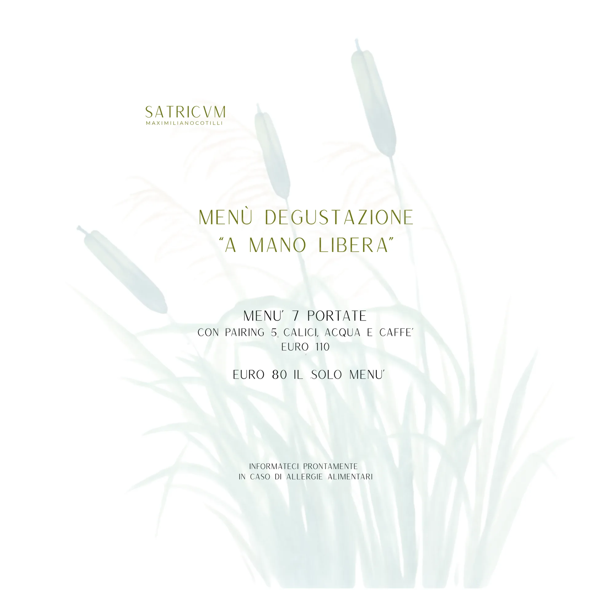 Satricvm — photo 12