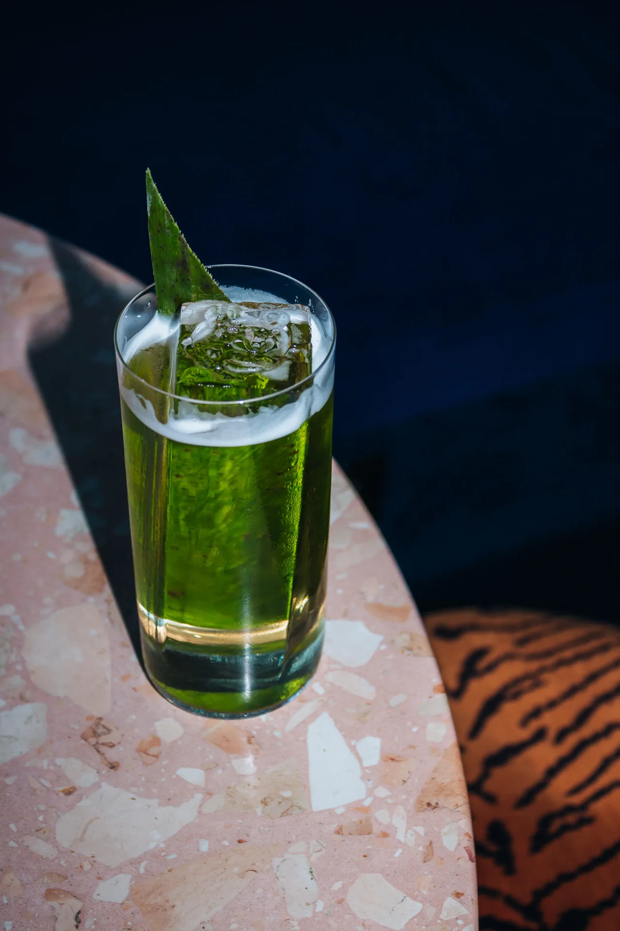 Tipsy Tiger — photo 12