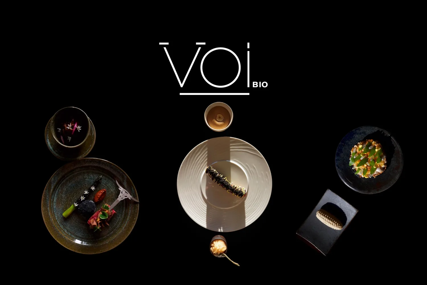 VOI.bio — photo 30
