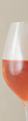 Ginza L’écrin — drink