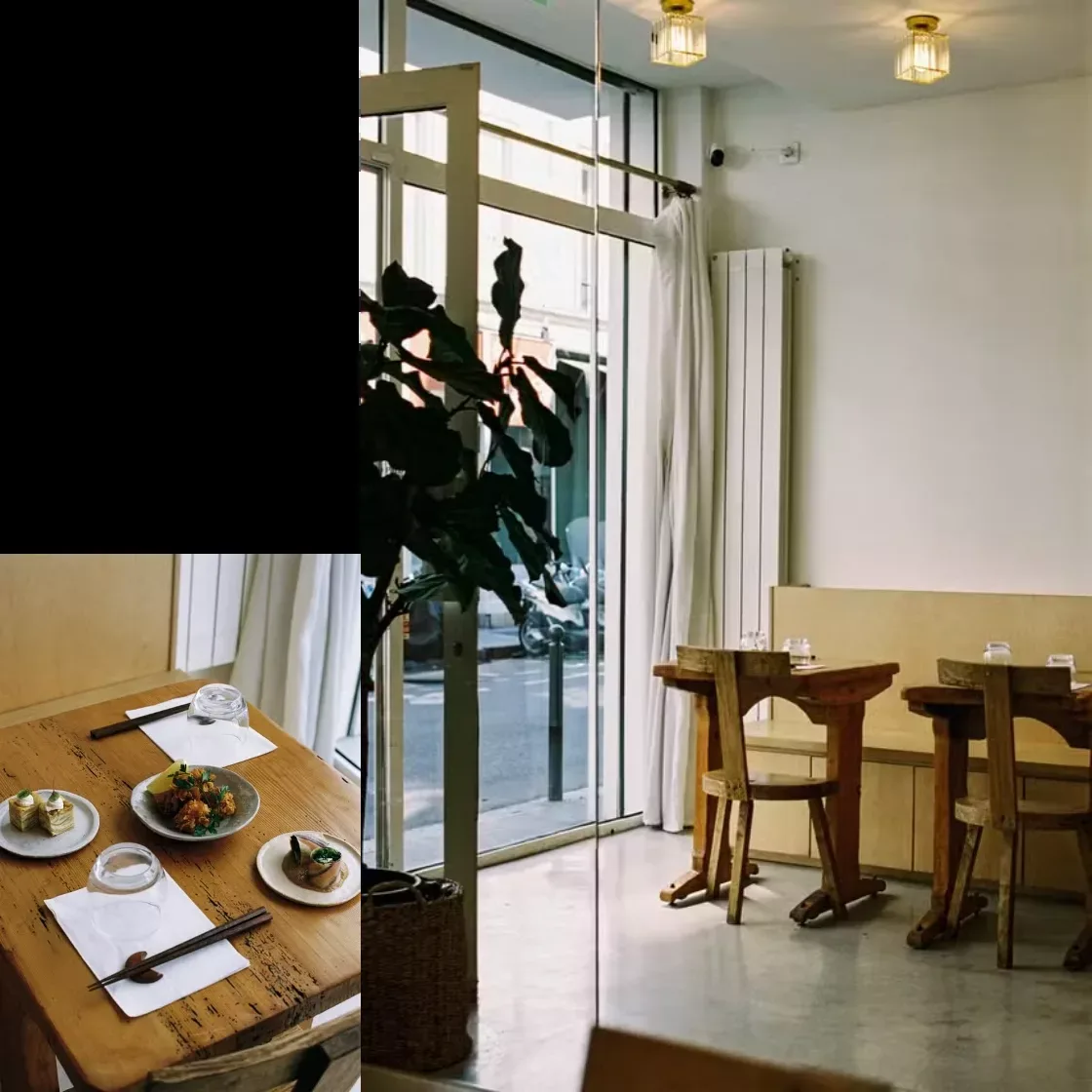 Iné — photo 16